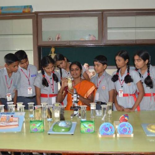 K L E Society's English Medium School
